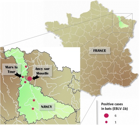 Fig. 1