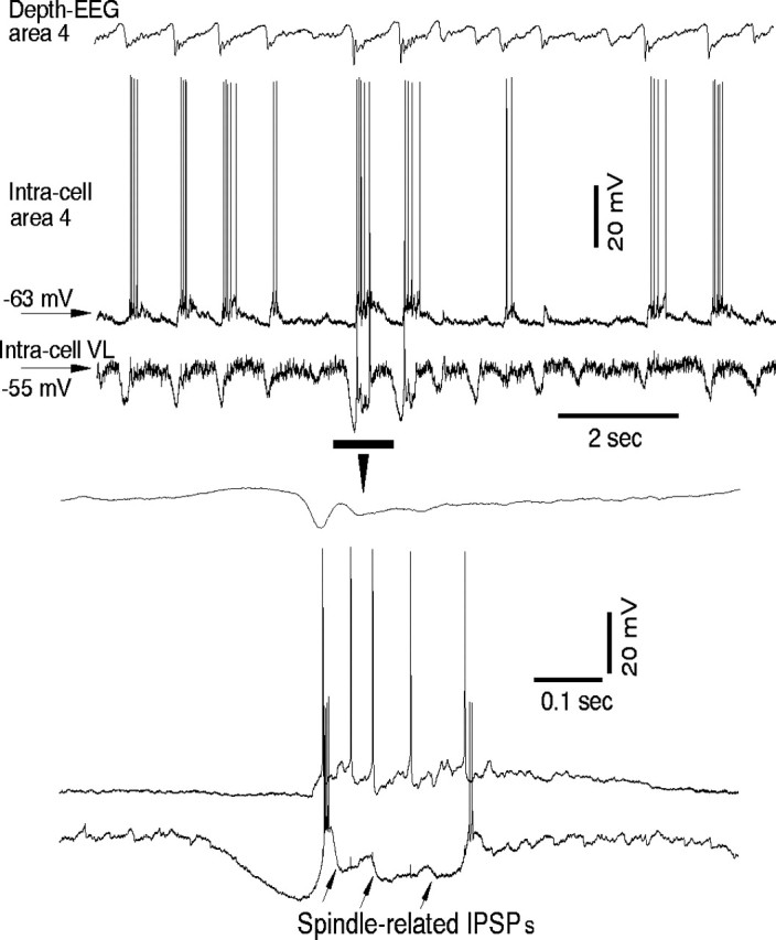 Fig. 3.