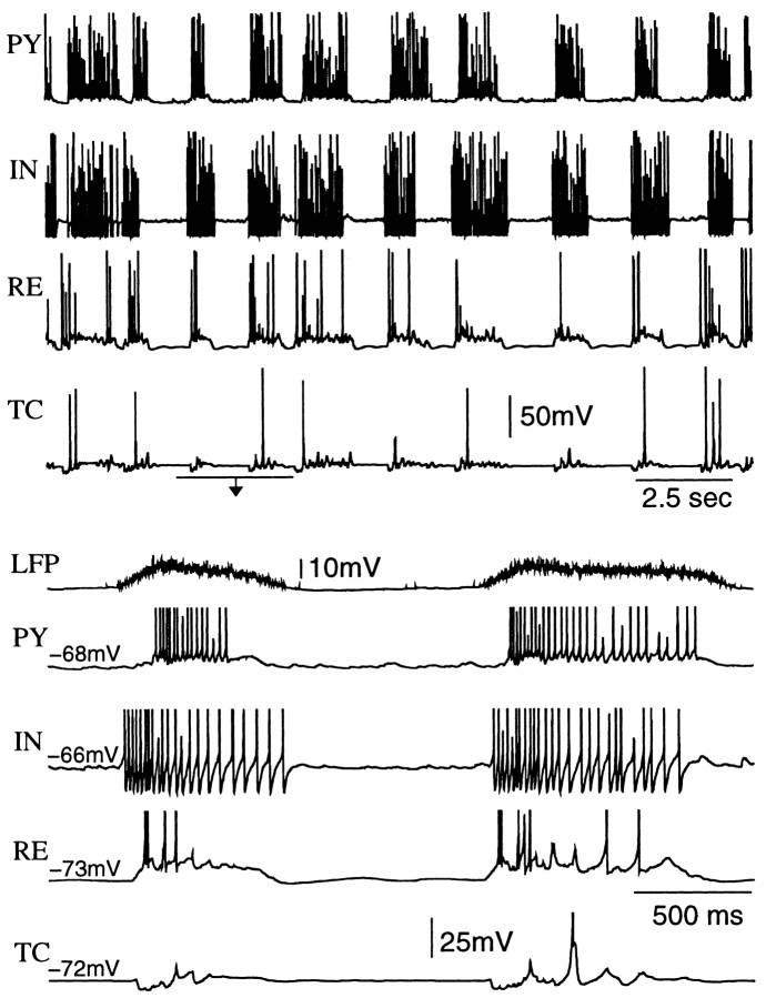 Fig. 7.