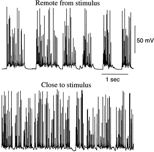 Fig. 12.