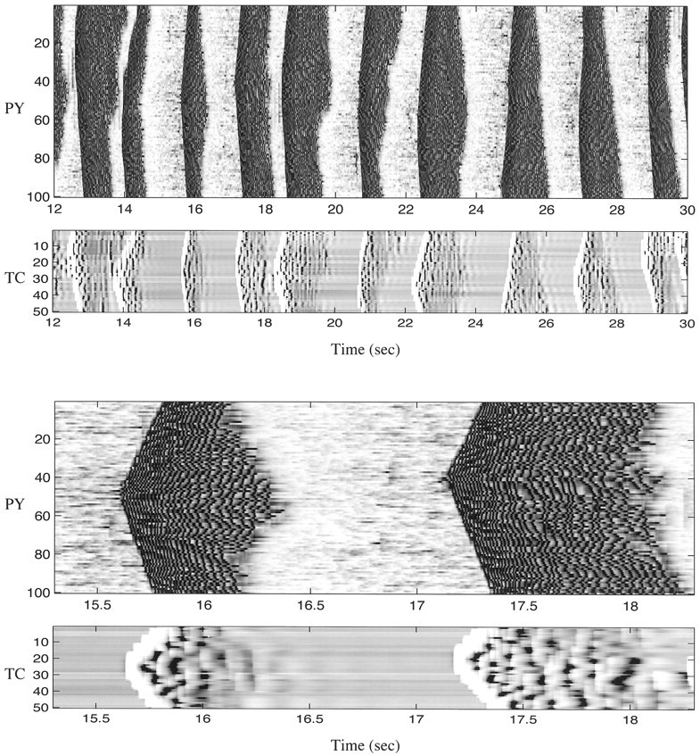 Fig. 6.