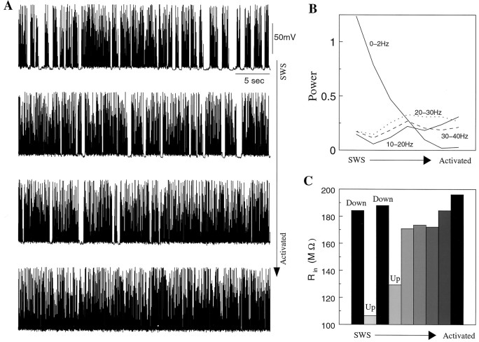 Fig. 9.