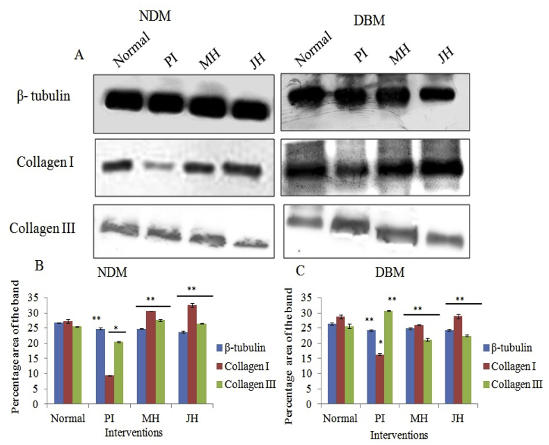 Fig. 11