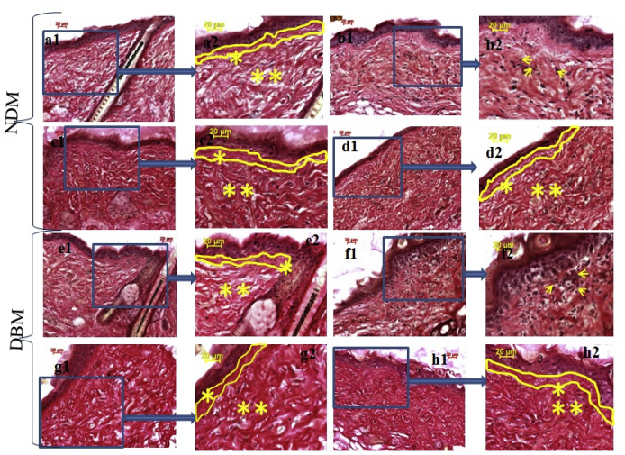 Fig. 7