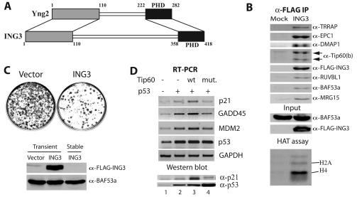 FIG. 5.