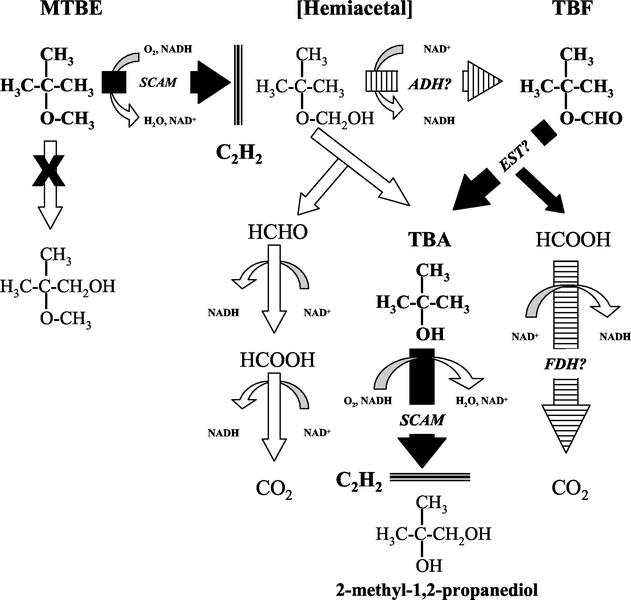 FIG. 7.