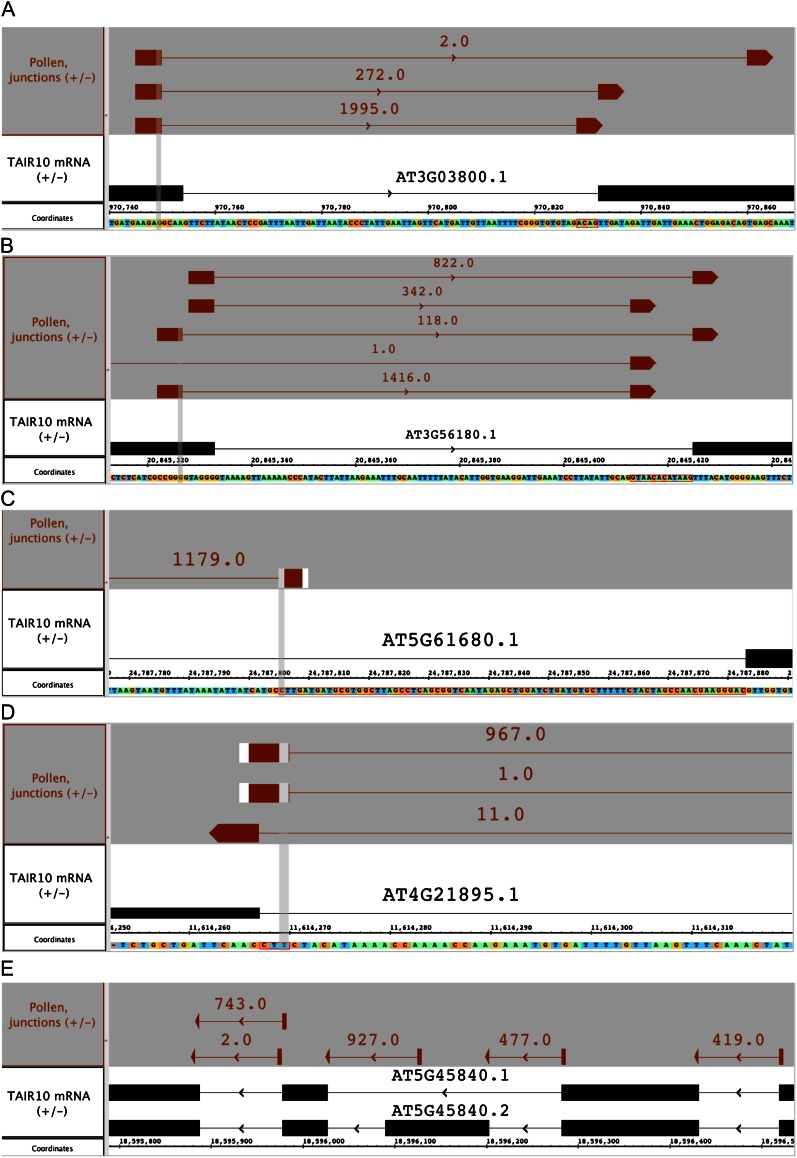 Figure 6.