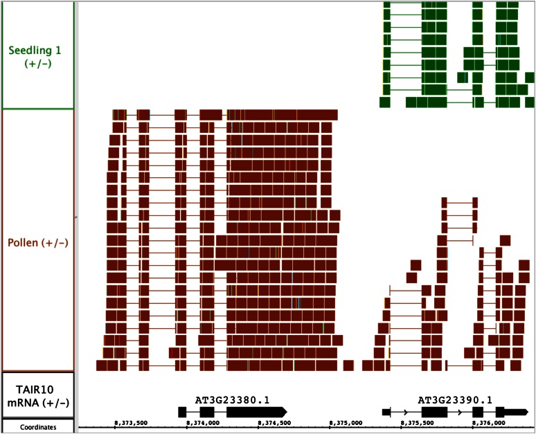 Figure 5.