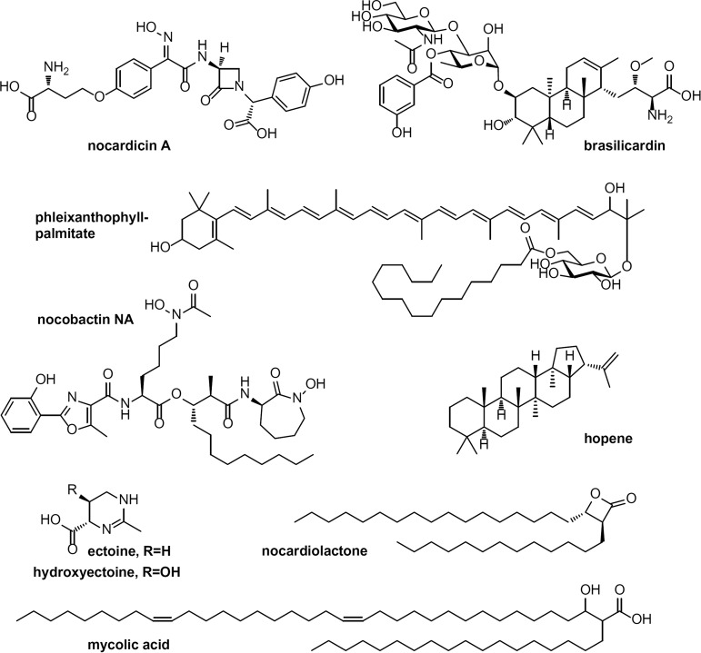 FIG 1