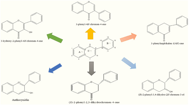 Fig. 3