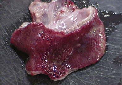 FIG 136.8