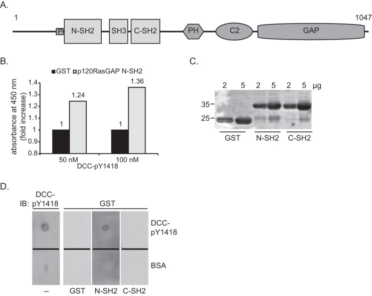 FIGURE 1.