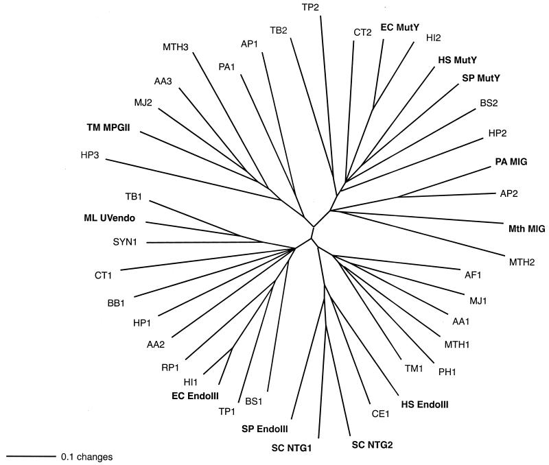 FIG. 9