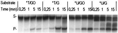 FIG. 6