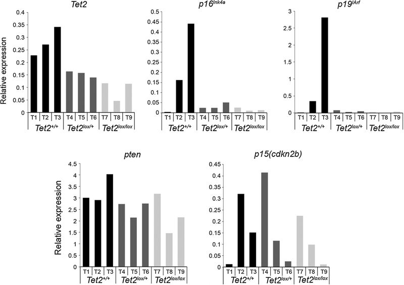 Figure 5.