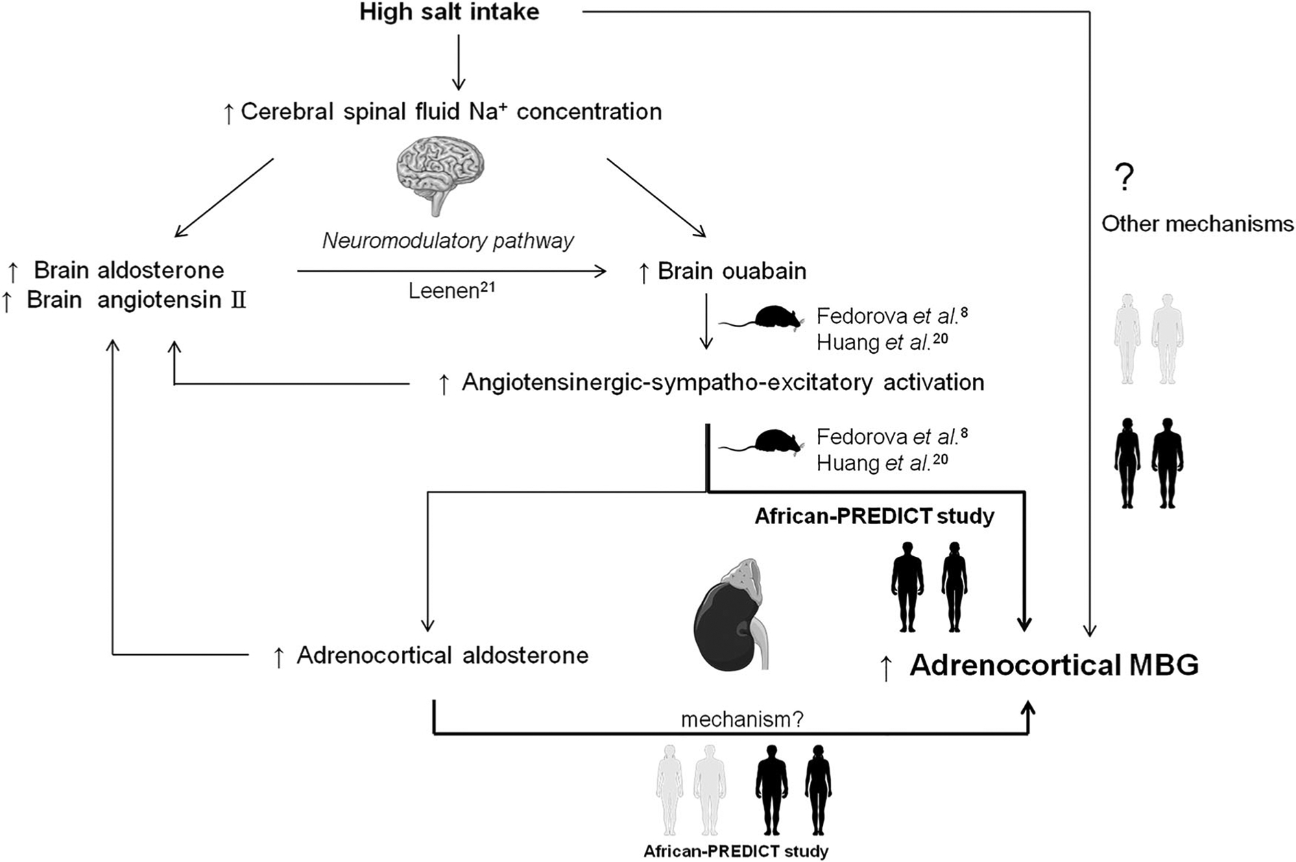 Figure 2.