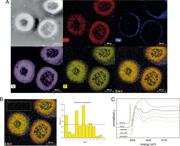 FIG 4