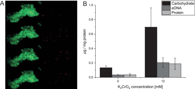 FIG 2