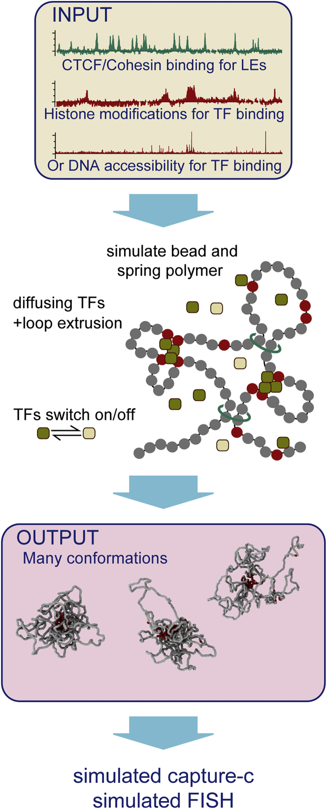 Figure 1