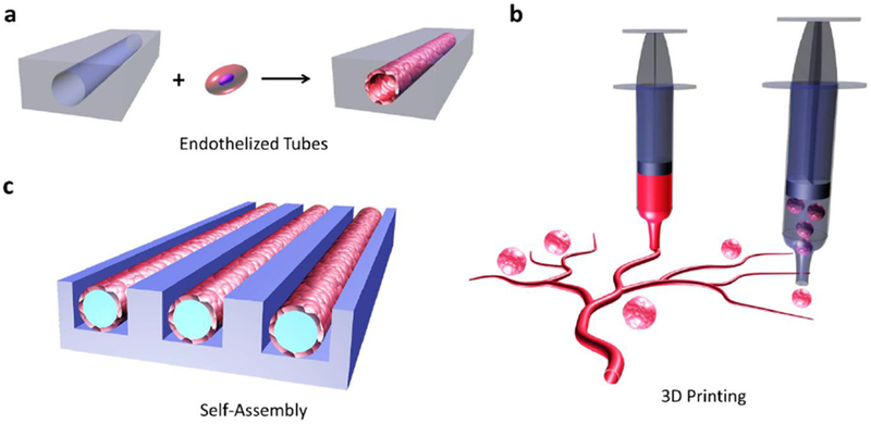 Figure 7.