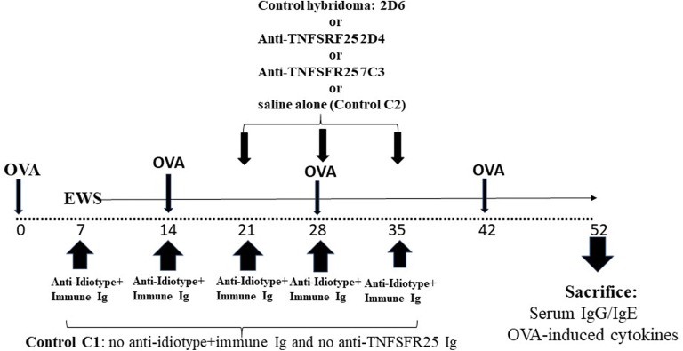 Fig. 8