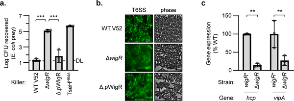 Figure 5: