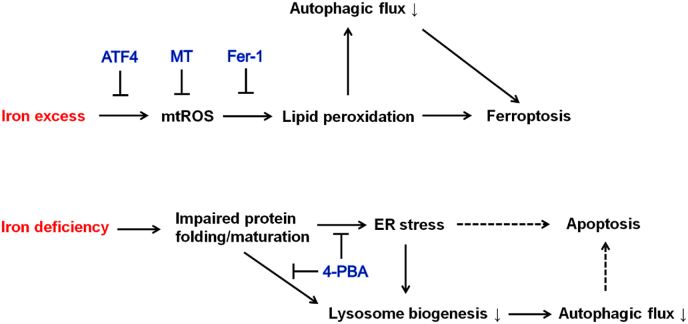 Fig. 10