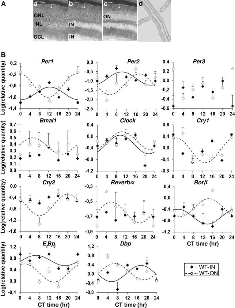 Fig. 2