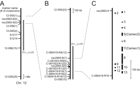 FIGURE 2.