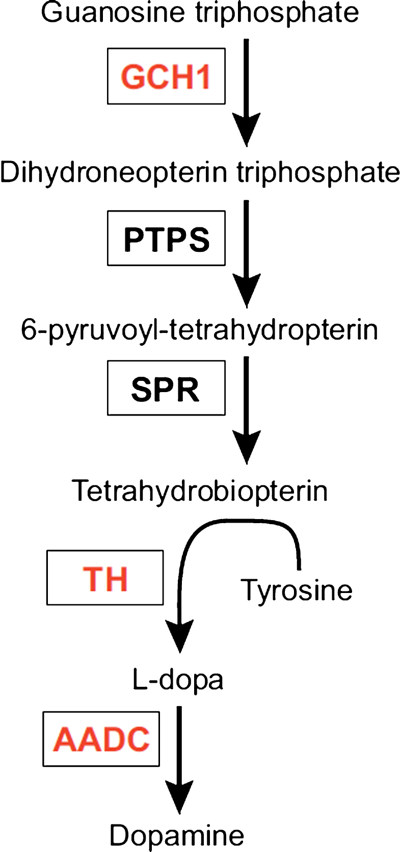 Fig.1