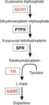 Fig.1