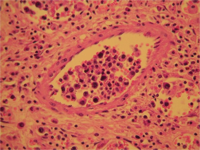 Figure 3: