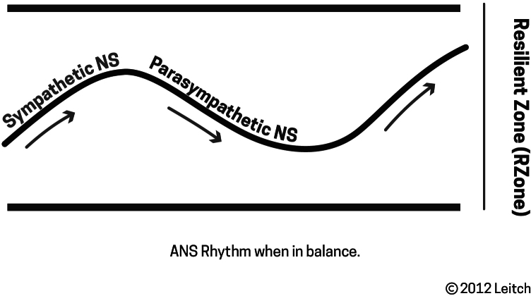 Figure 2: