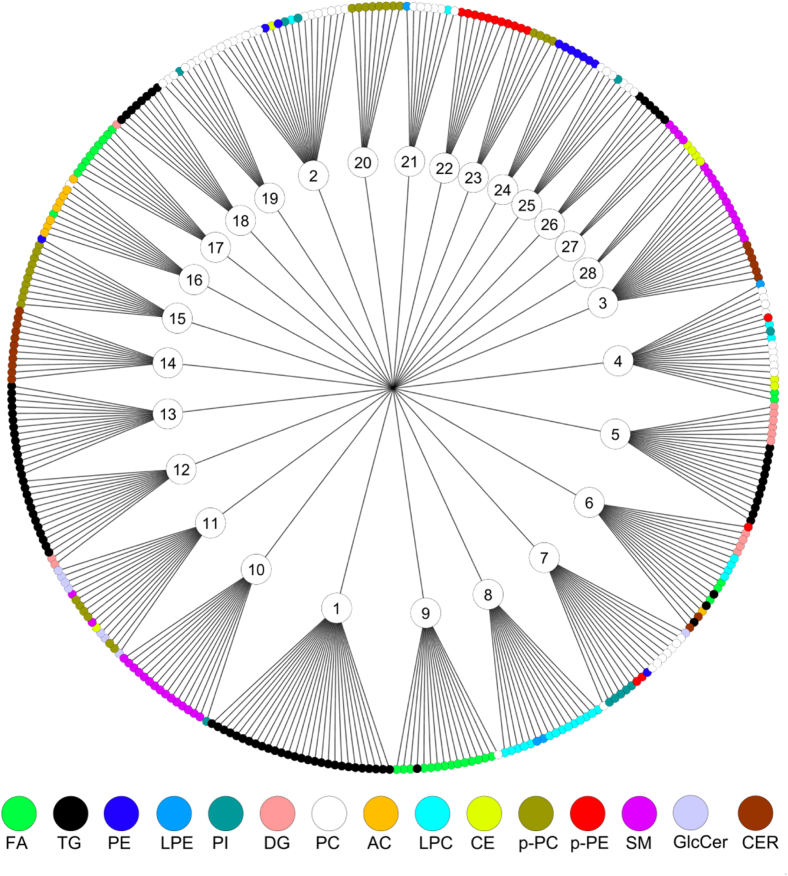 Fig. 1