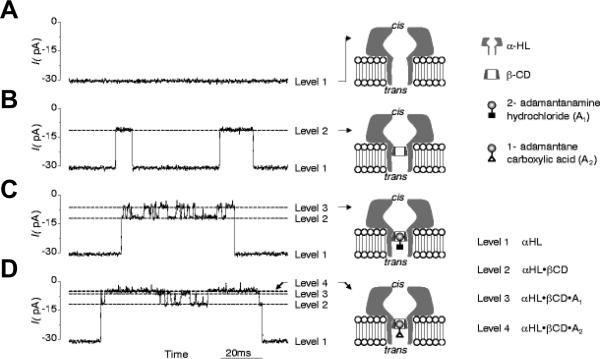 Figure 31