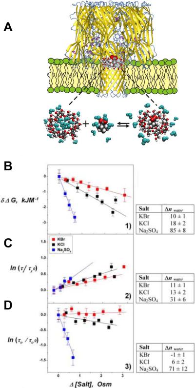 Figure 32