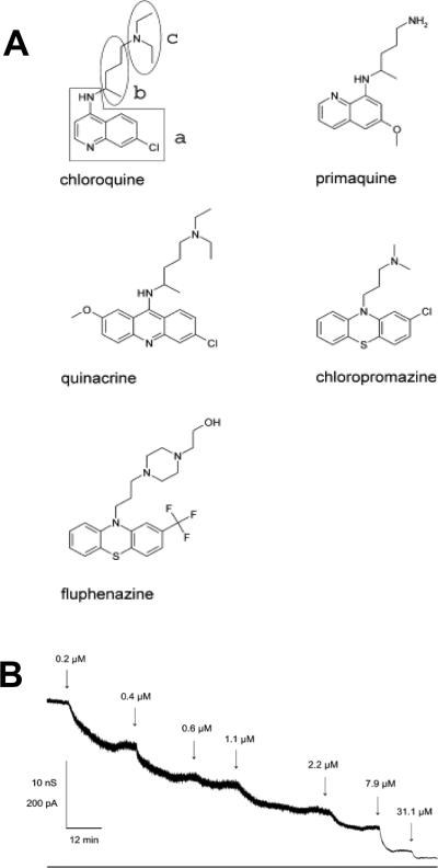 Figure 24