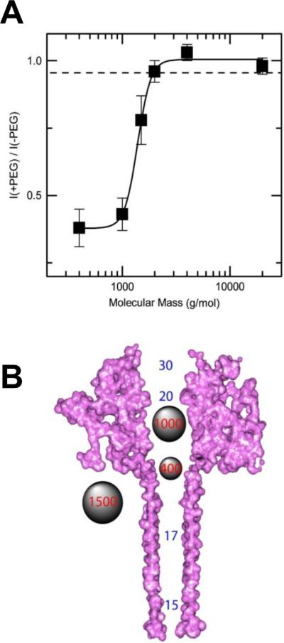 Figure 19