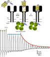 Figure 18