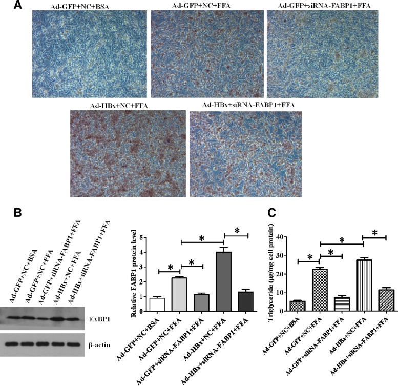 FIG 6