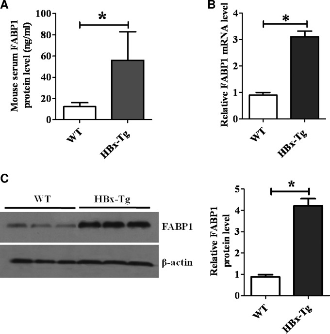 FIG 3