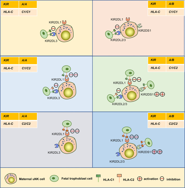 Figure 5