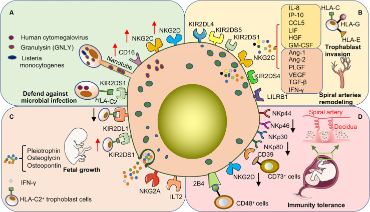 Figure 3