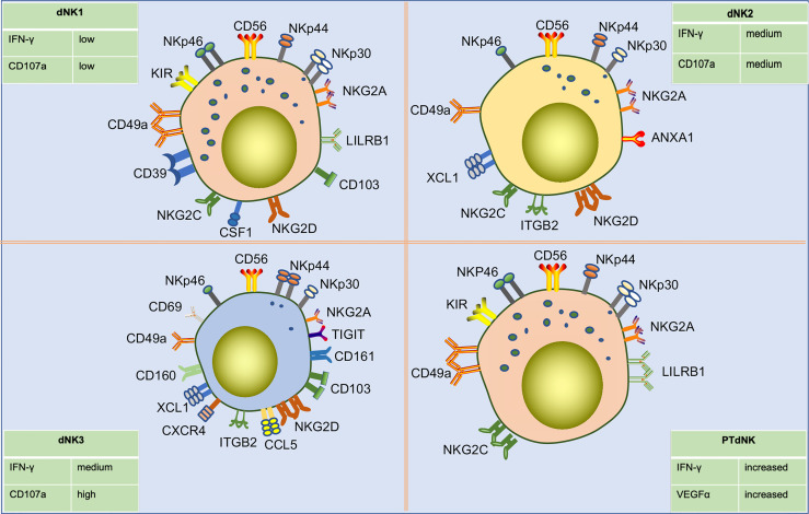 Figure 4