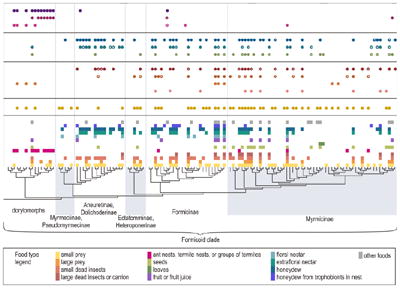 graphic file with name nihms617765u1.jpg