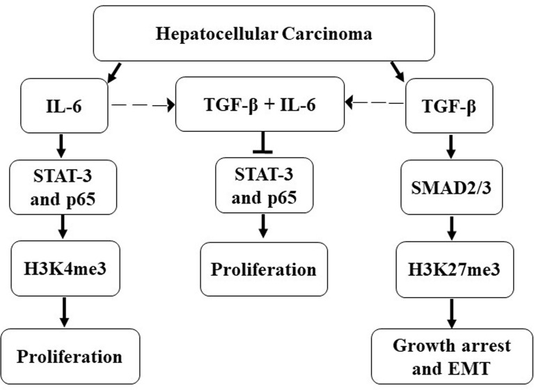 Figure 9