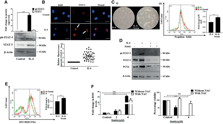 Figure 3