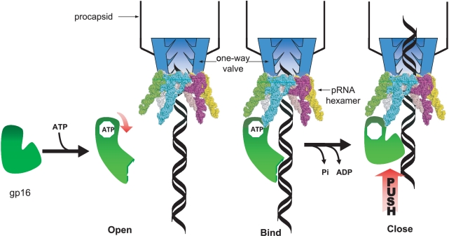 Figure 6.