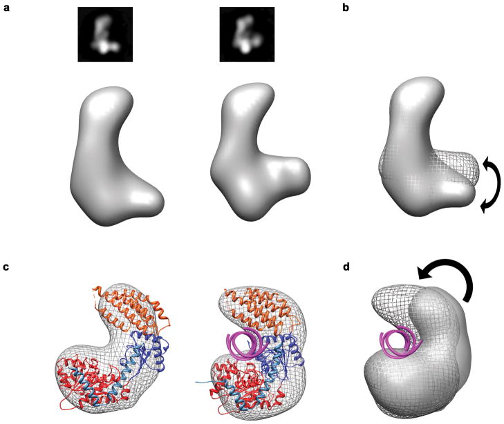 Fig. 5