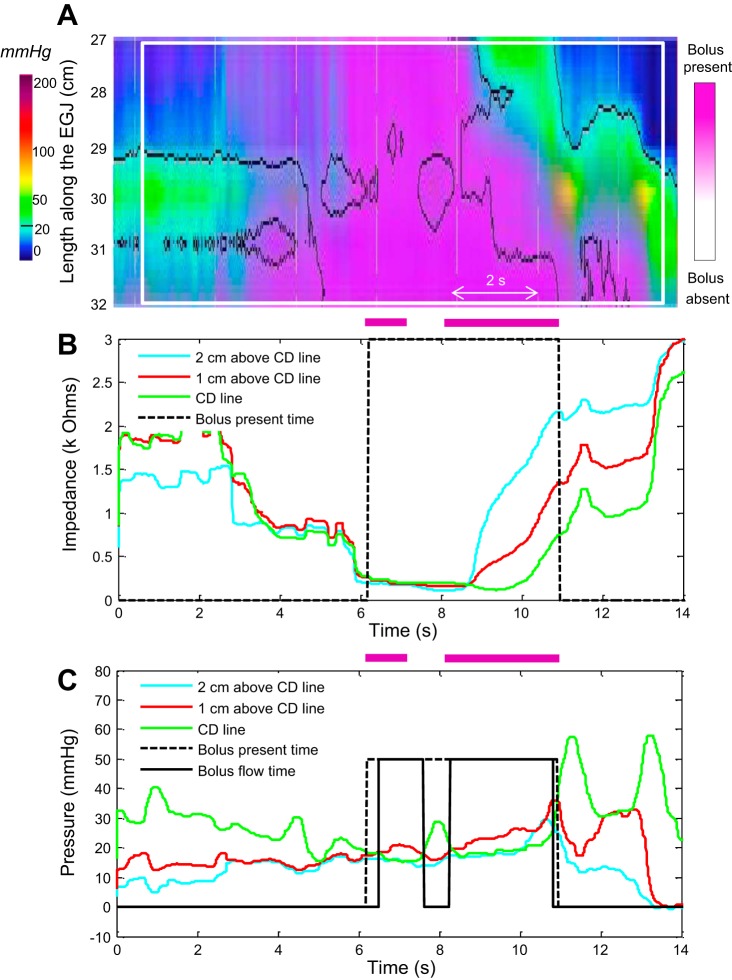 Fig. 2.